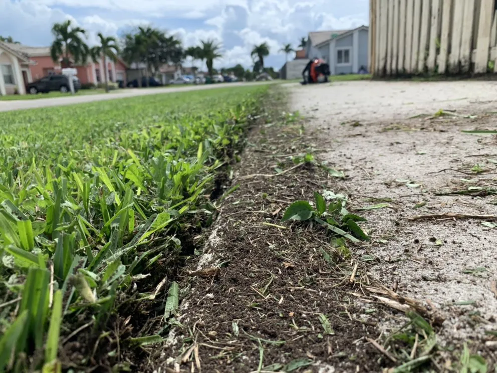 Custom residential landscaping experts serving Miami, FL - Lavish Landscaping & Maintenance