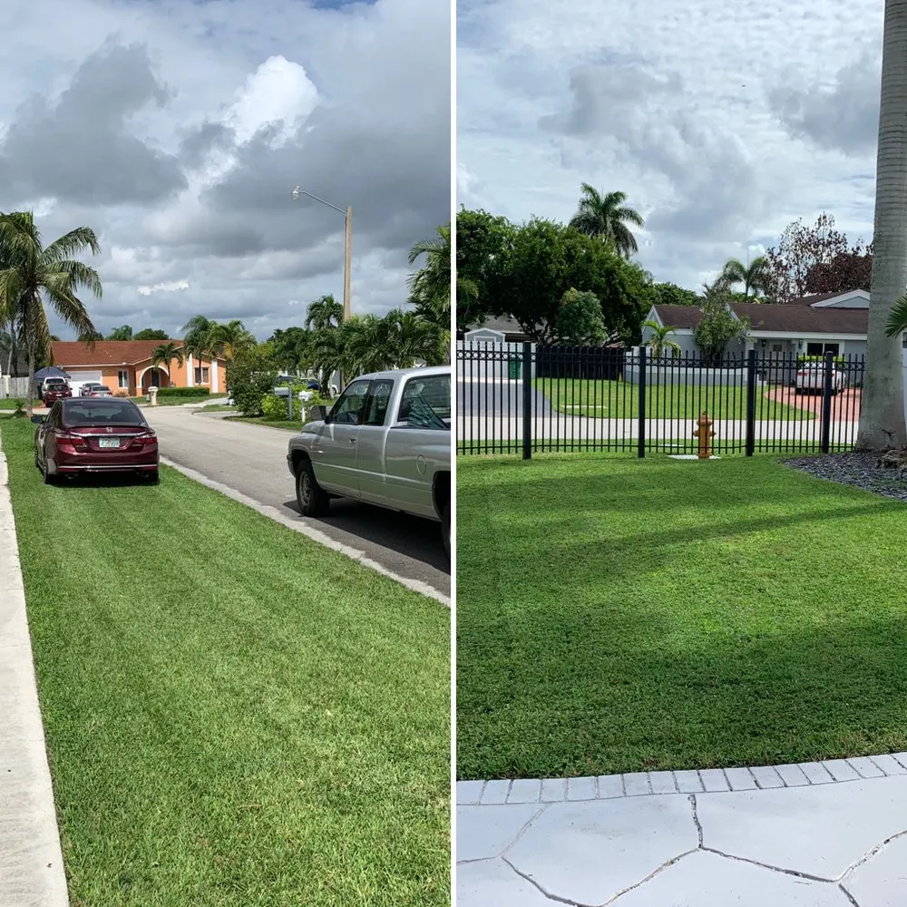 Trusted outdoor landscaping in Miami, FL - Lavish Landscaping & Maintenance