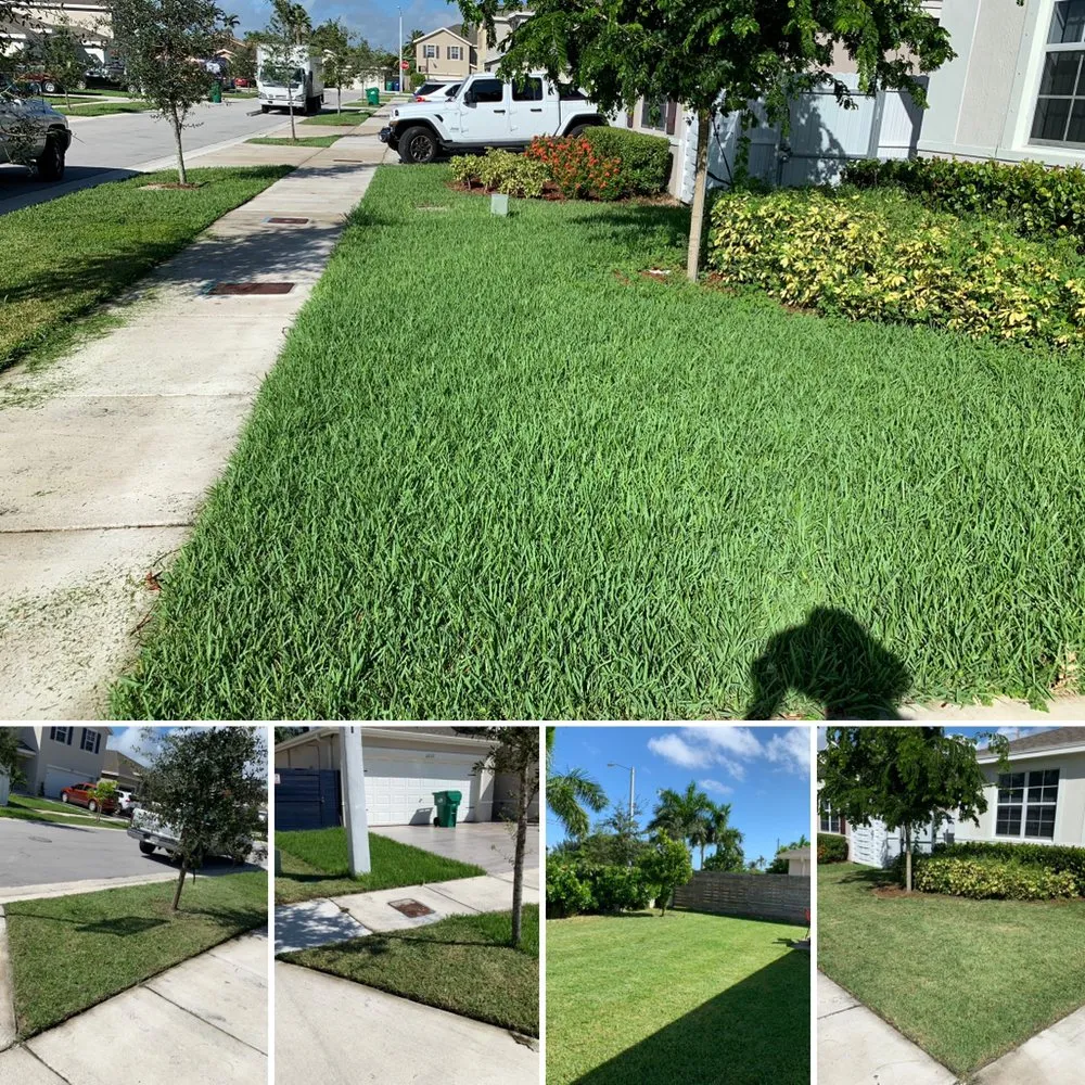 Trusted landscape installation in Miami, FL - Lavish Landscaping & Maintenance