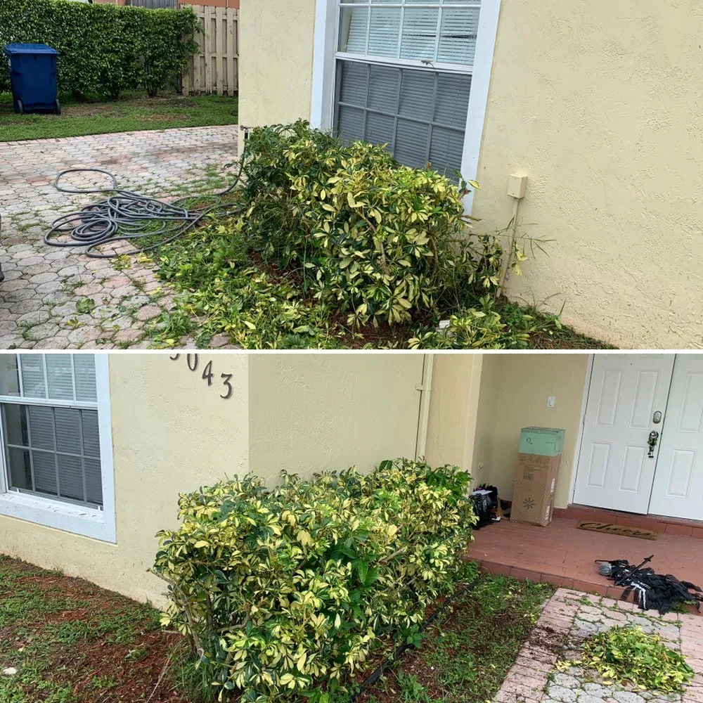 Top-rated landscape installation for residential properties across Miami, FL - Lavish Landscaping & Maintenance