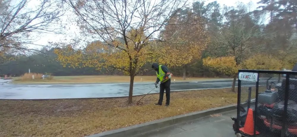 Affordable landscape installation in Fairburn, GA by Lavish Lawn Care Services