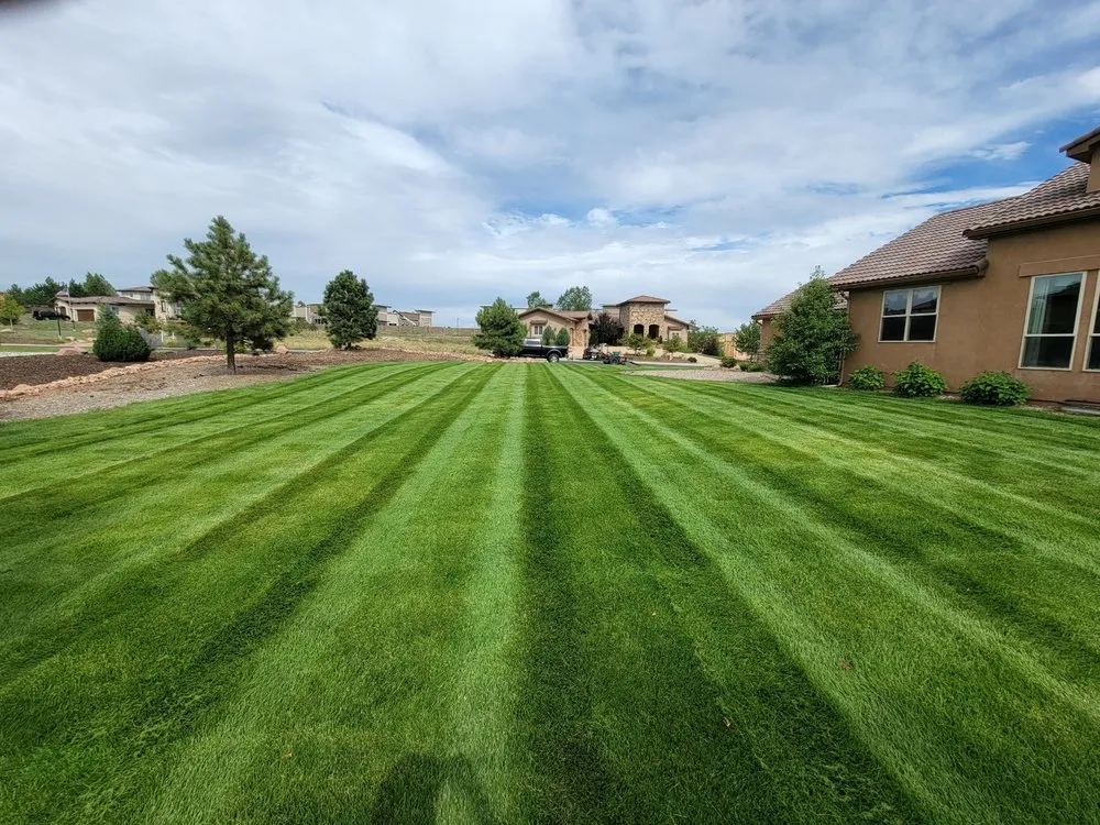 Affordable landscape installation in Monument, CO - Lavish Lawns