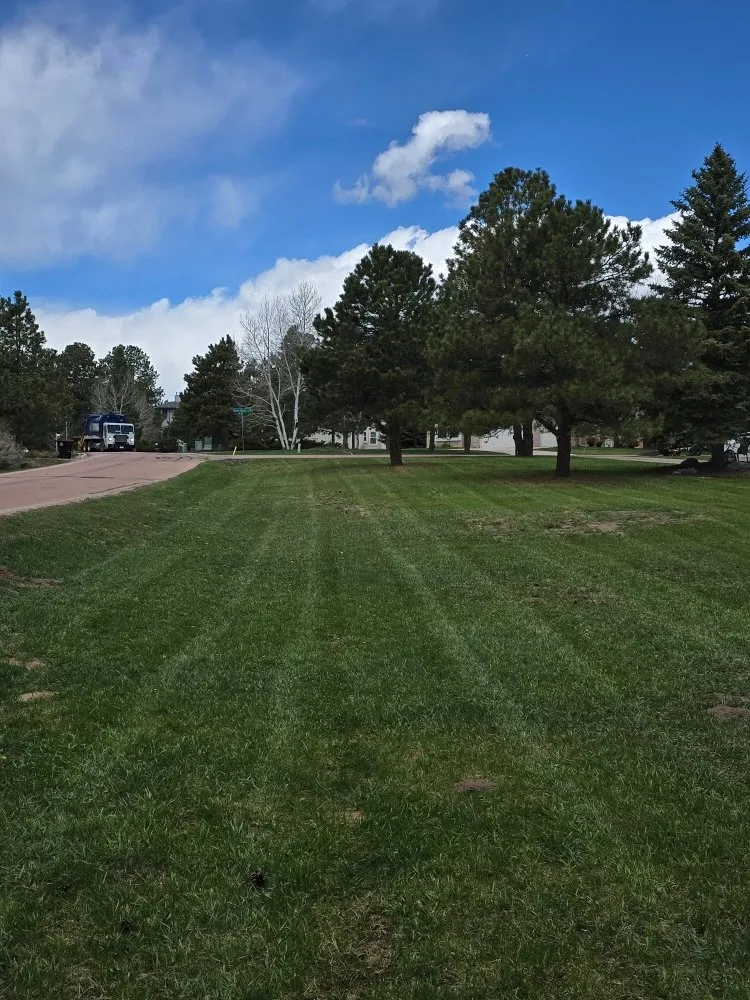 Reliable lawn mowing service for beautiful yards in Monument, CO by Lavish Lawns