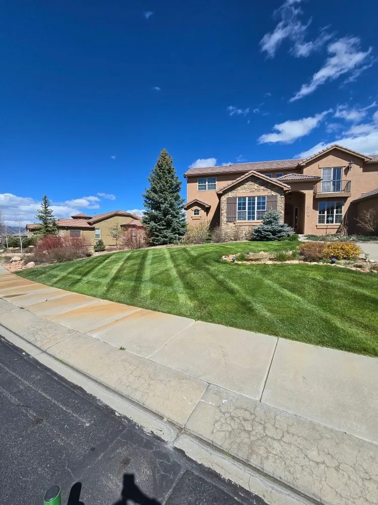 Affordable landscape installation in Monument, CO - Lavish Lawns