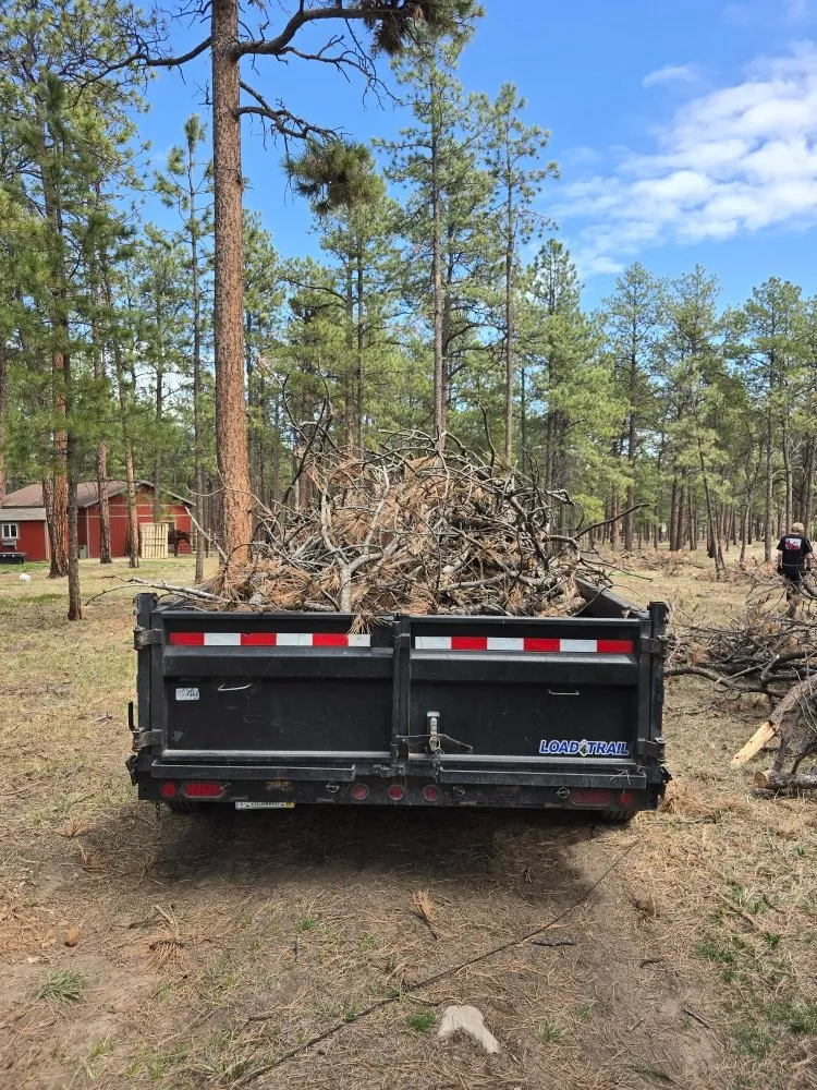 Professional landscape installation in Monument, CO by Lavish Lawns