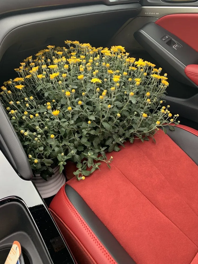 Trusted yard maintenance for residential properties in East Amherst, NY by Lavocat's Family Greenhouse and Nursery