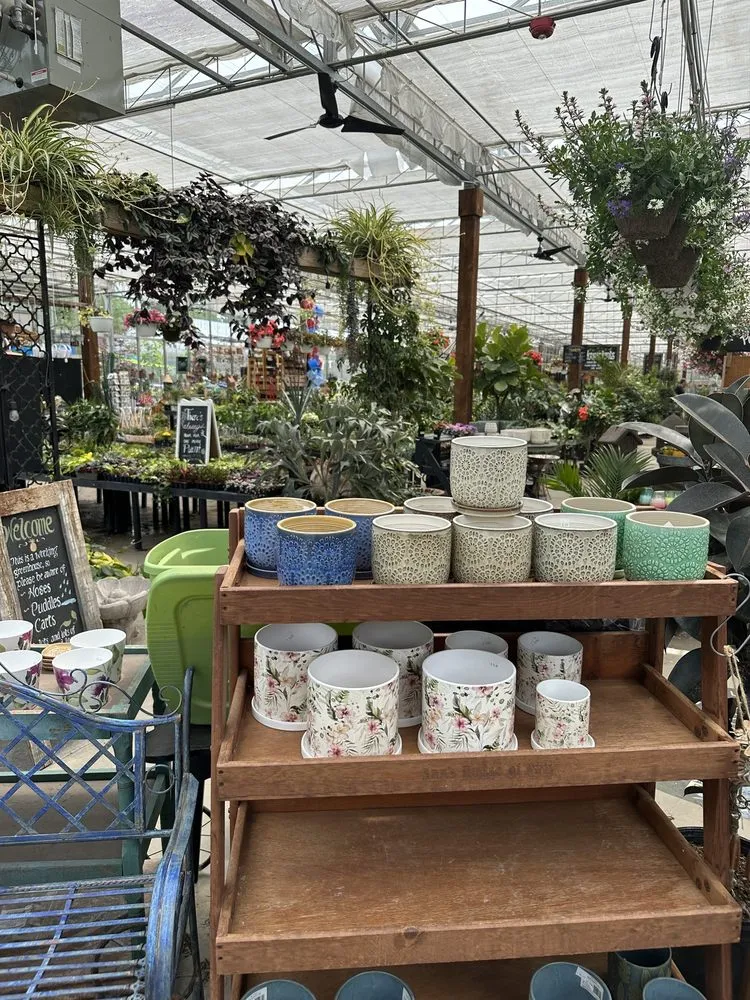 Expert lawn care service in East Amherst, NY by Lavocat's Family Greenhouse and Nursery