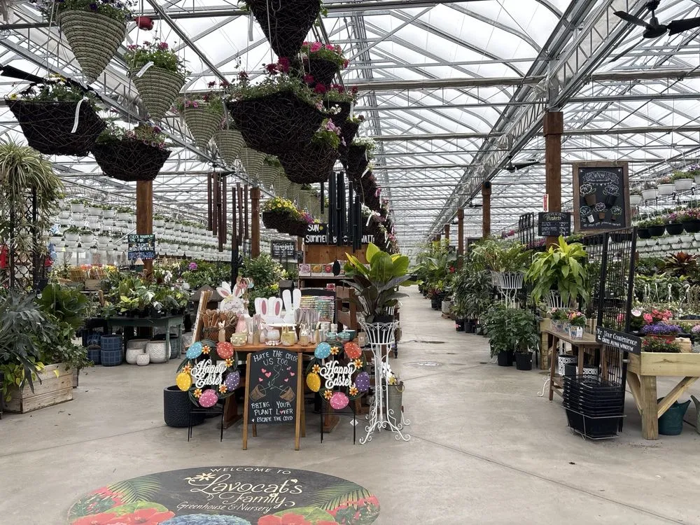 Professional landscaping services in East Amherst, NY - Lavocat's Family Greenhouse and Nursery