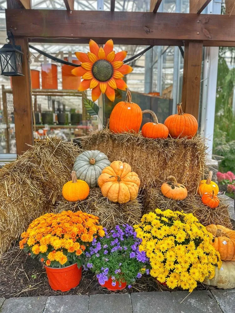 Custom outdoor landscaping experts serving East Amherst, NY - Lavocat's Family Greenhouse and Nursery