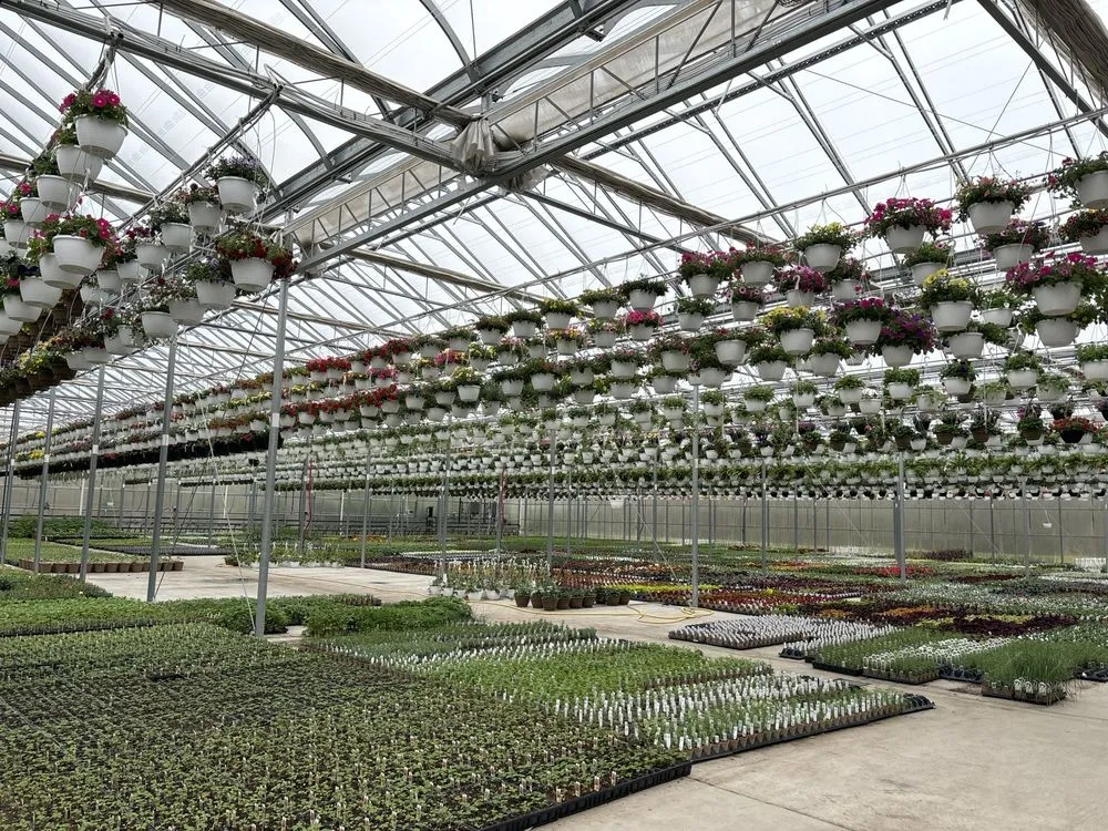 Trusted yard cleanup service for homes across East Amherst, NY - Lavocat's Family Greenhouse and Nursery