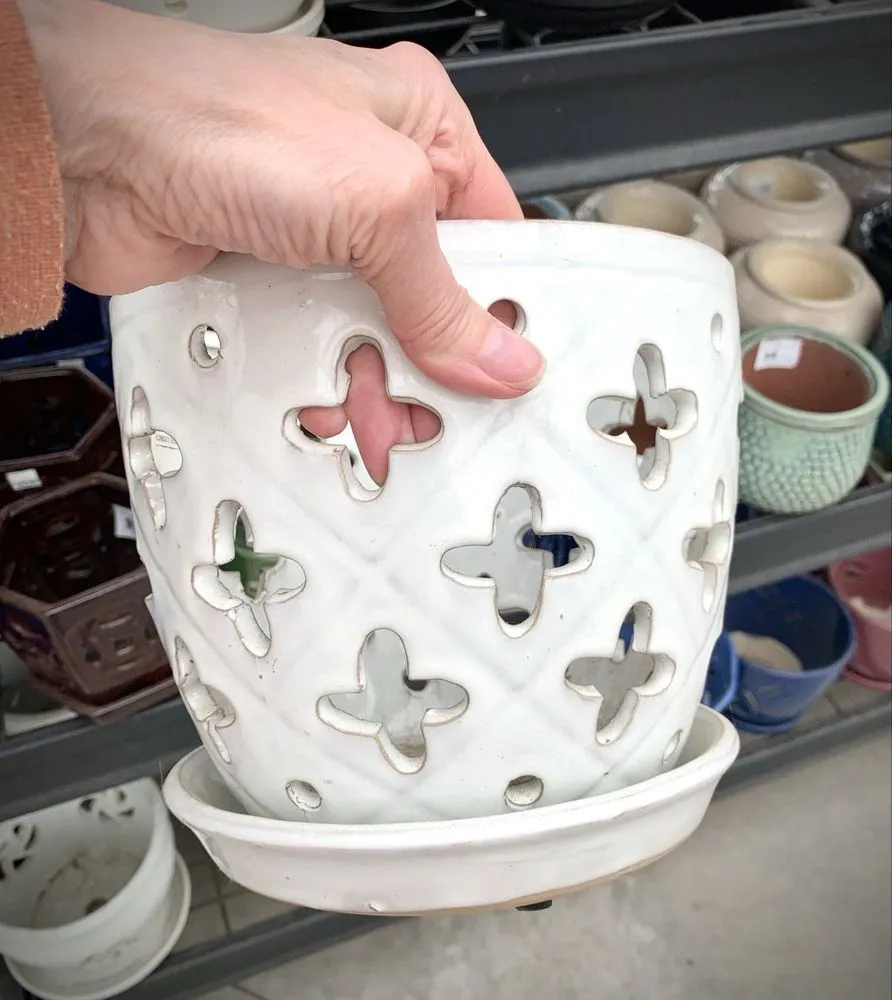 Affordable yard cleanup service for residential properties across East Amherst, NY - Lavocat's Family Greenhouse and Nursery