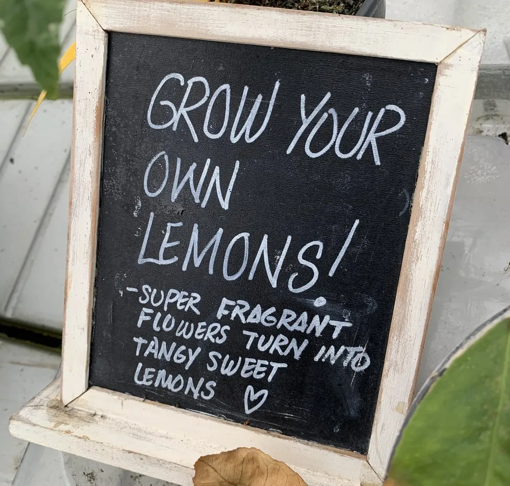 Professional garden landscaping in East Amherst, NY - Lavocat's Family Greenhouse and Nursery