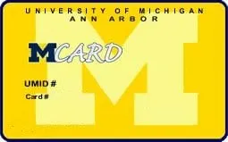 Affordable lawn mowing service in East Amherst, NY by Lavocat's Family Greenhouse and Nursery