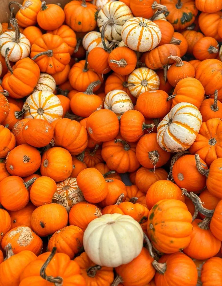 Expert landscape installation in East Amherst, NY by Lavocat's Family Greenhouse and Nursery