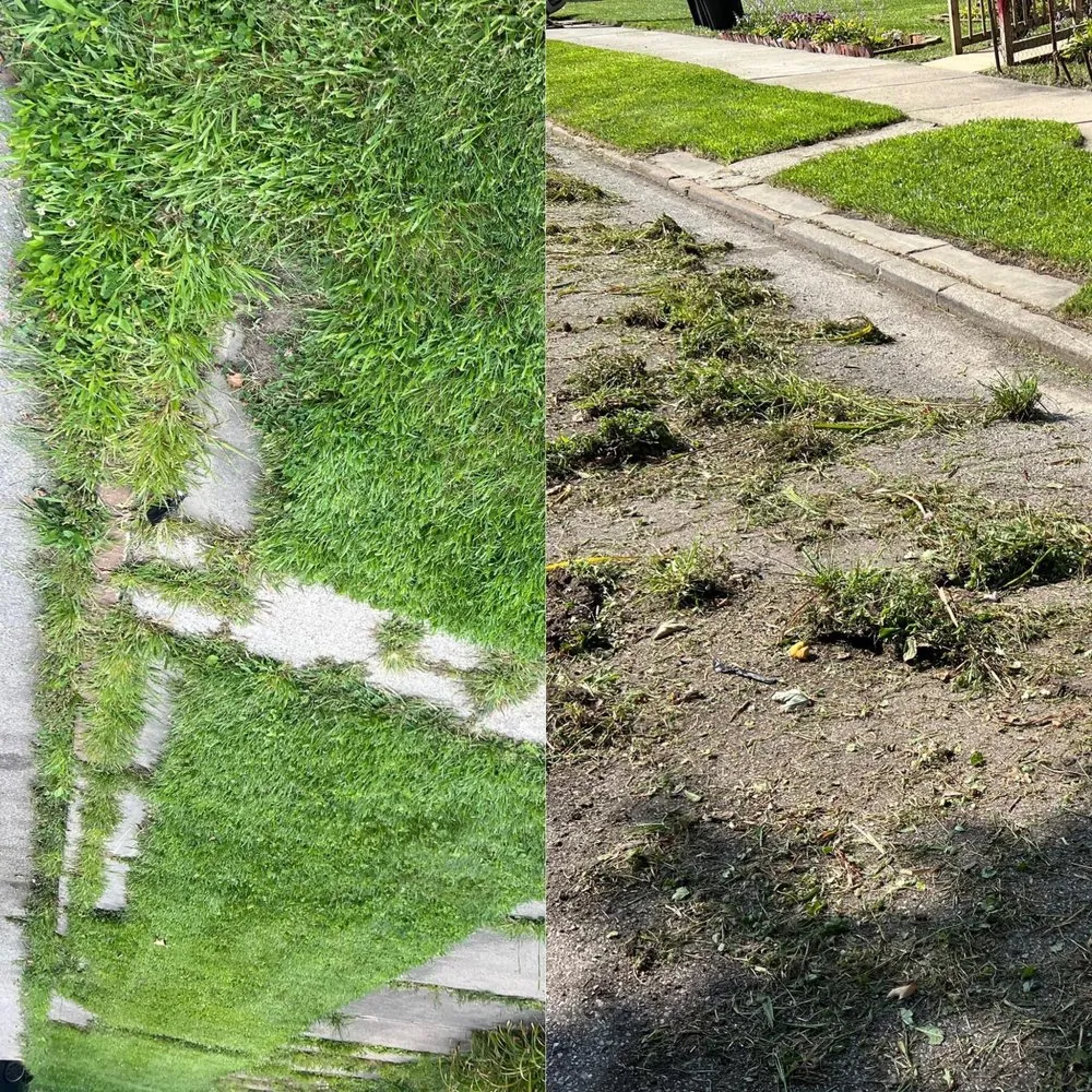 Affordable garden landscaping experts serving West Bloomfield Township, MI - Law of Landscaping