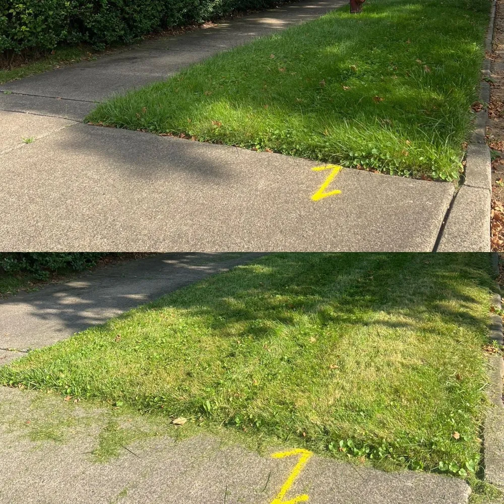 Expert yard maintenance for year-round maintenance across West Bloomfield Township, MI - Law of Landscaping