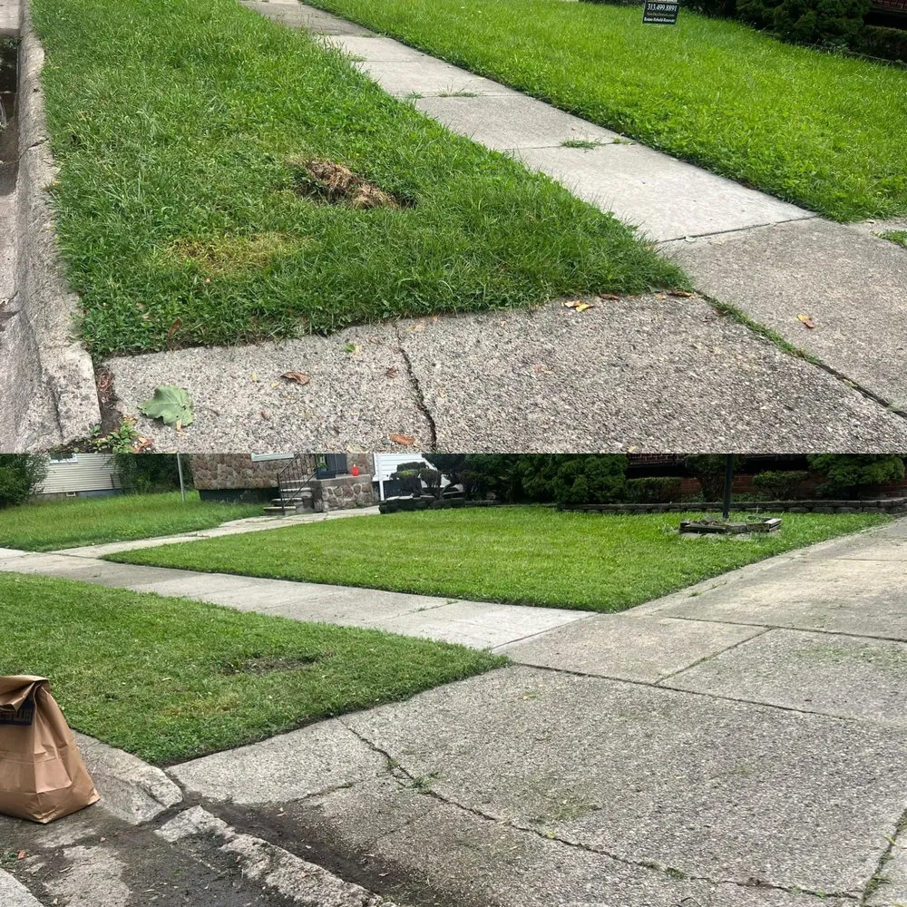 Affordable yard cleanup service with custom design in West Bloomfield Township, MI by Law of Landscaping