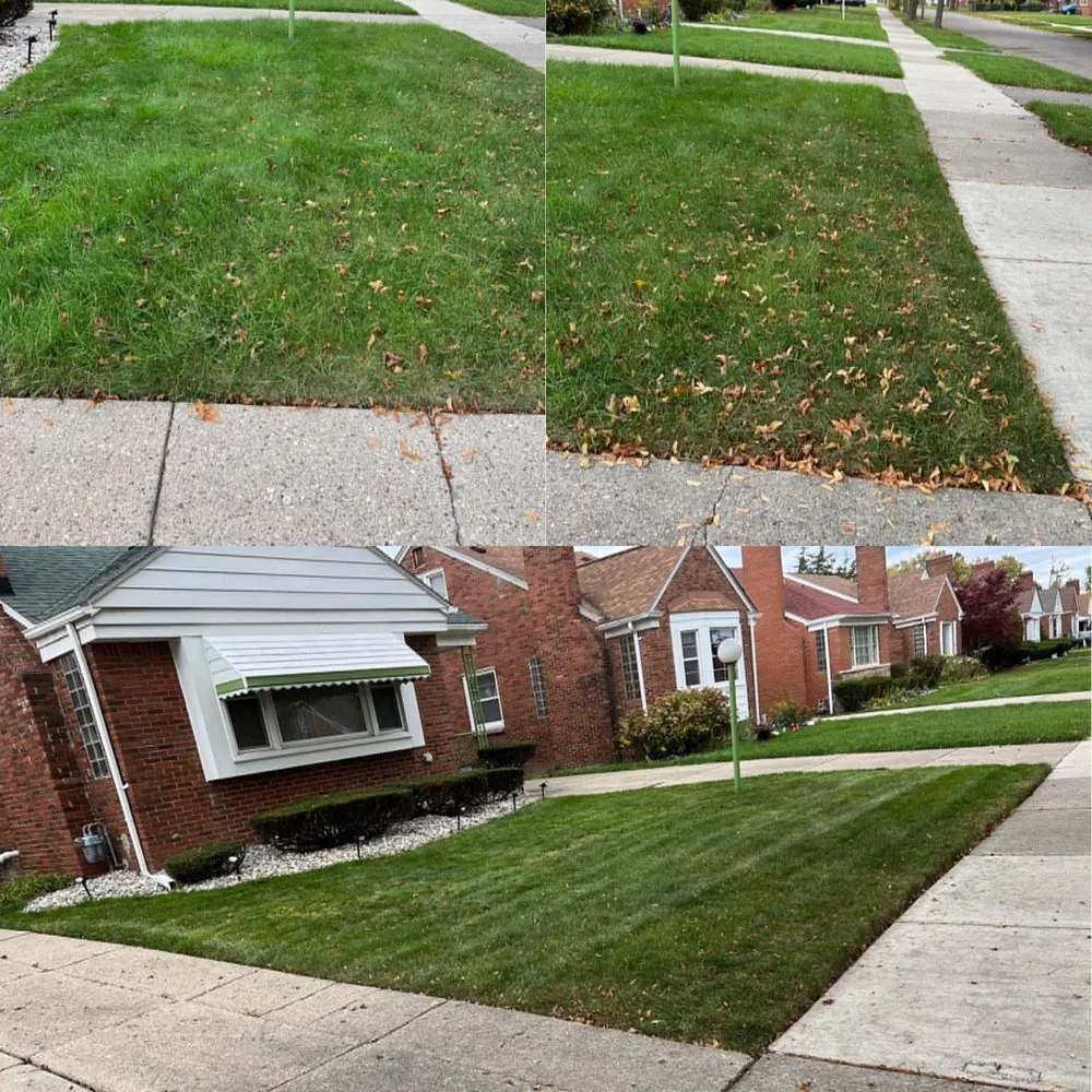 Local yard cleanup service experts serving West Bloomfield Township, MI - Law of Landscaping
