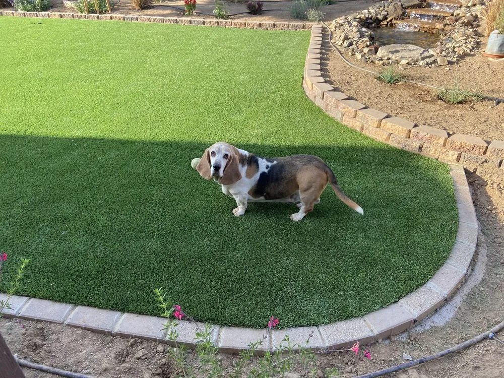 Top-rated yard maintenance in Riverside, CA by Lawler's Landscape Services