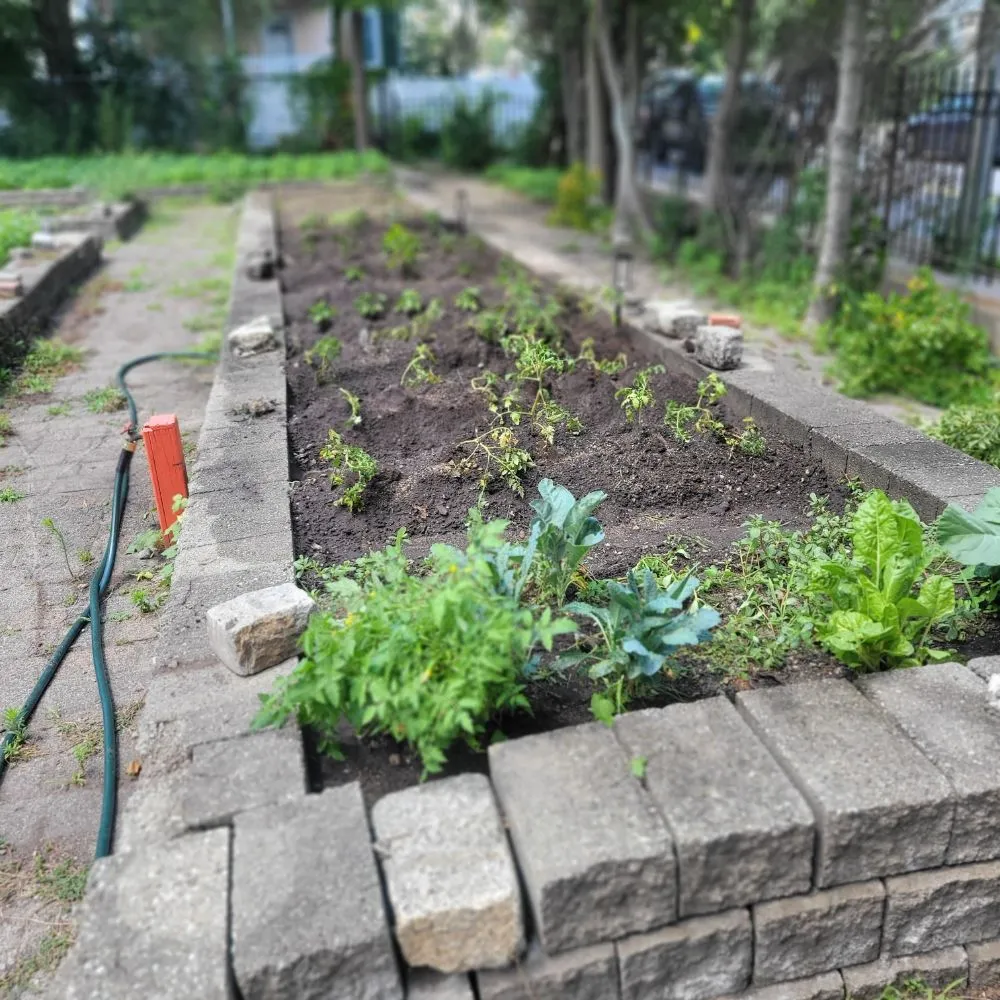 Custom landscape design for homes across Boston, MA - Lawn & Beyond Organic Landscaping