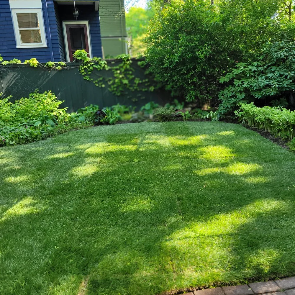 Trusted yard cleanup service for year-round maintenance across Boston, MA - Lawn & Beyond Organic Landscaping
