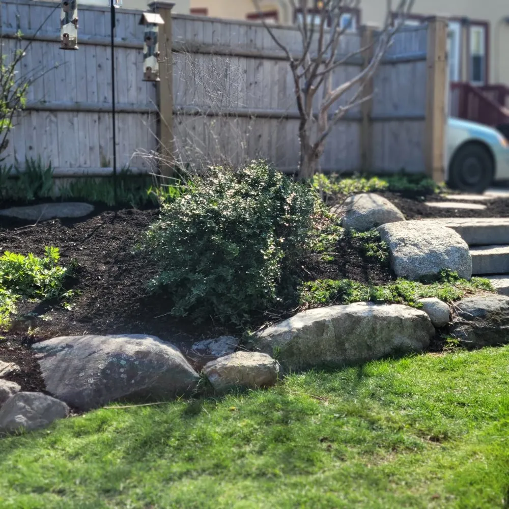 Reliable yard cleanup service in Boston, MA - Lawn & Beyond Organic Landscaping