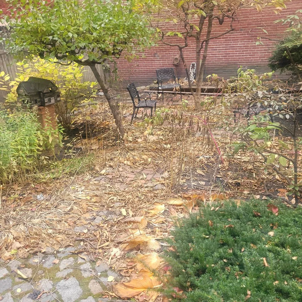 Trusted outdoor landscaping in Boston, MA by Lawn & Beyond Organic Landscaping