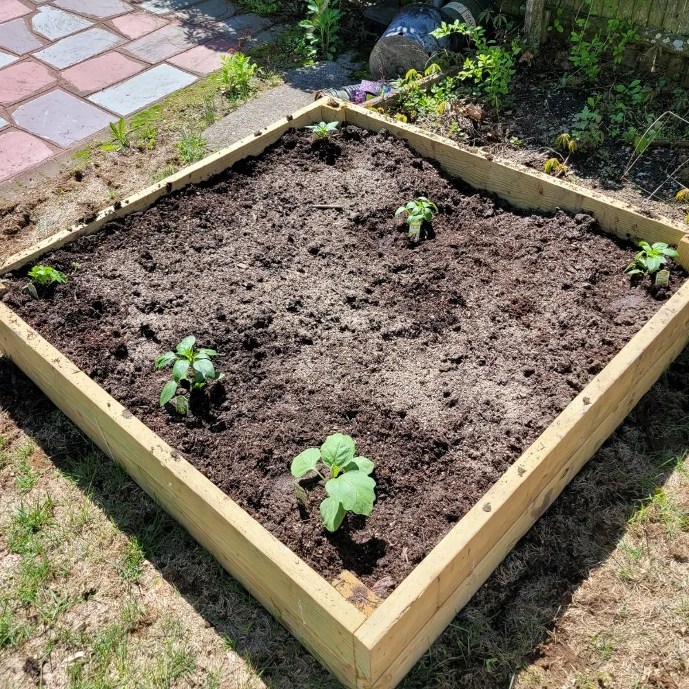 Trusted landscape design for year-round maintenance across Boston, MA - Lawn & Beyond Organic Landscaping