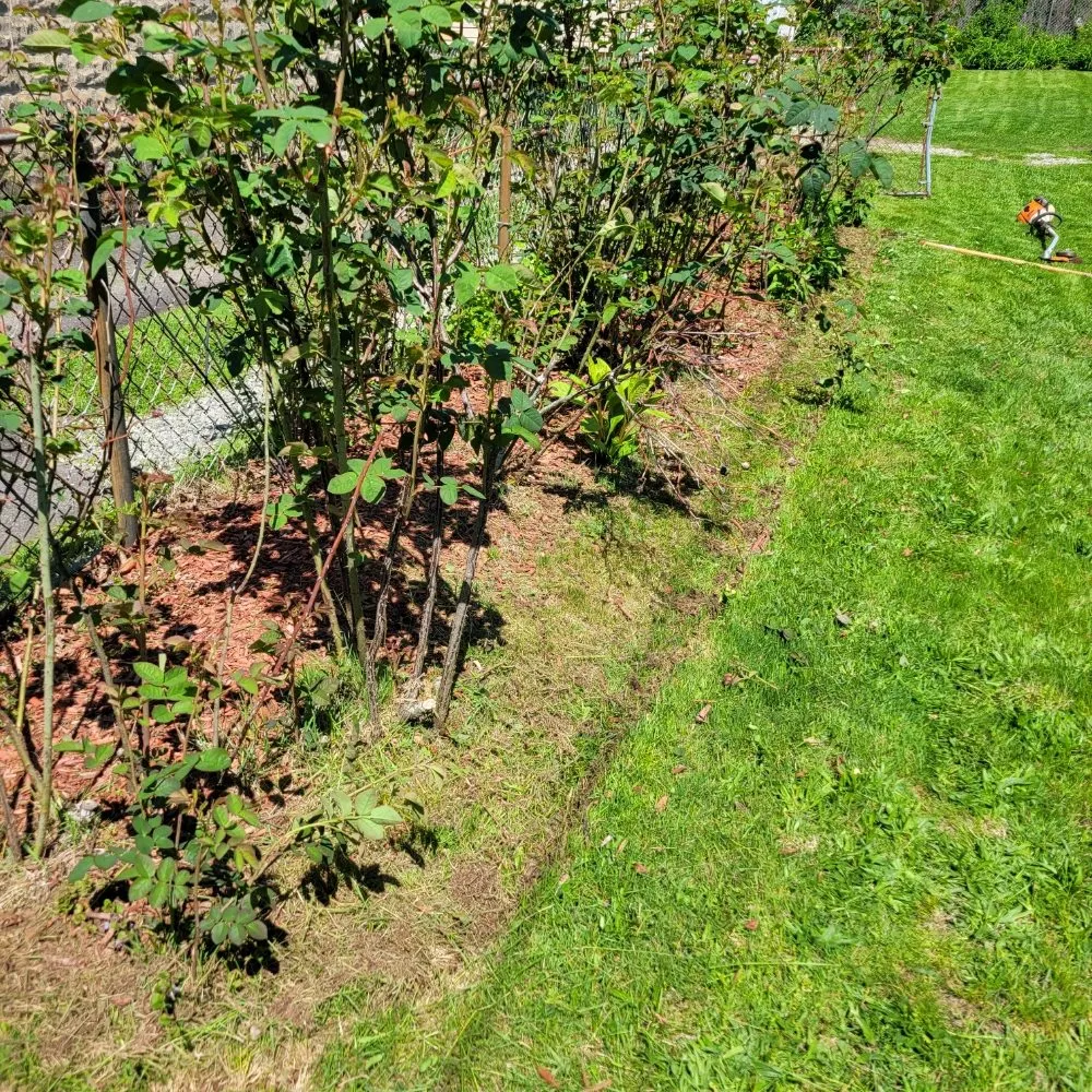 Affordable outdoor landscaping with custom design in Boston, MA by Lawn & Beyond Organic Landscaping