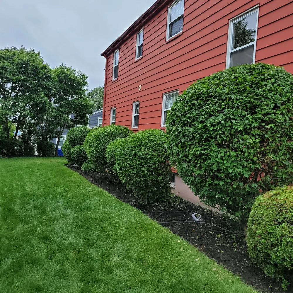 Professional yard cleanup service experts serving Boston, MA - Lawn & Beyond Organic Landscaping