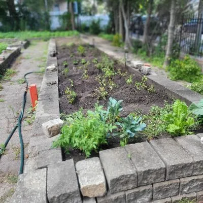 Lawn & Beyond Organic Landscaping