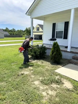 Lawn & Debris Pros Logo