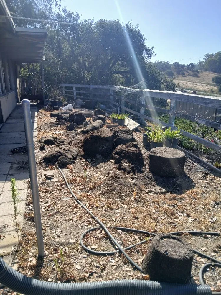 Expert yard maintenance for residential properties across Oceano, CA - Lawn & Home Improvement