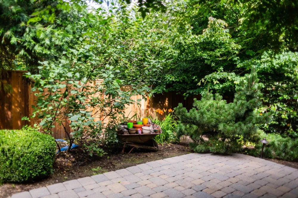 Affordable landscaping services in Hillsboro, OR by Lawn & Irrigation Technologies NW