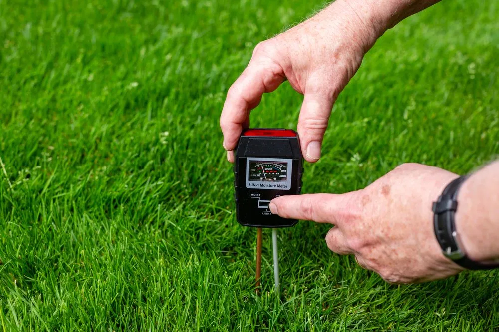 Expert residential landscaping for year-round maintenance in Hillsboro, OR by Lawn & Irrigation Technologies NW