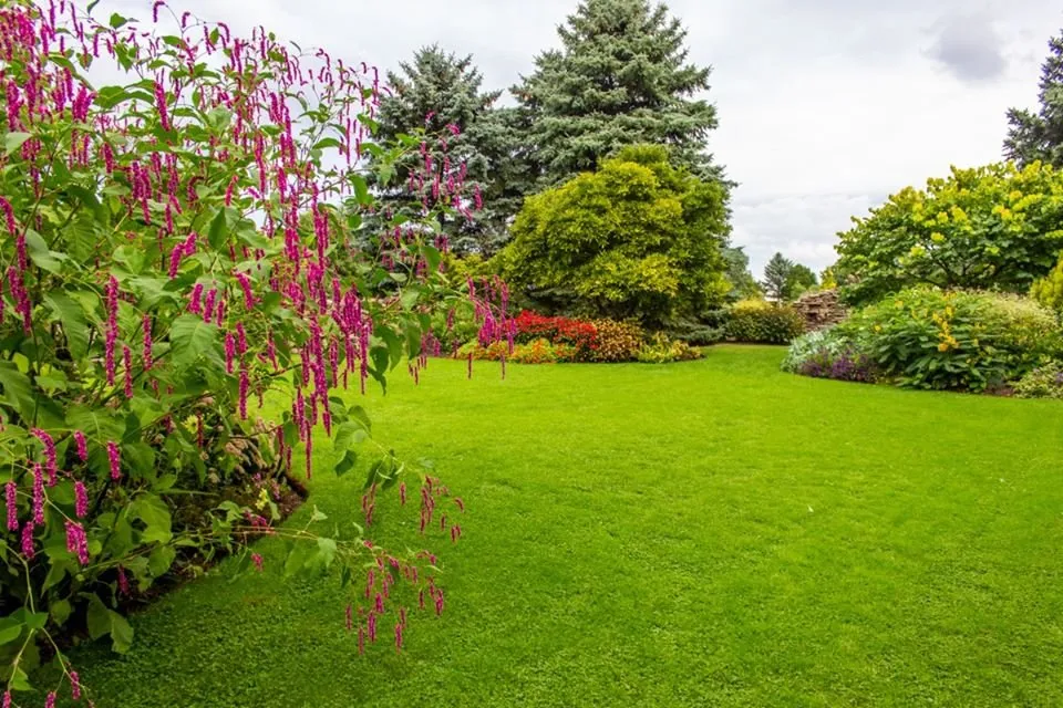 Professional lawn mowing service in Hillsboro, OR - Lawn & Irrigation Technologies NW