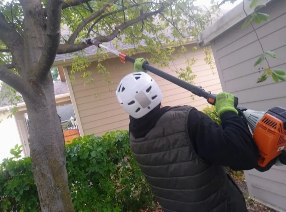 Trusted yard maintenance experts serving Missoula, MT - Lawn & Labor