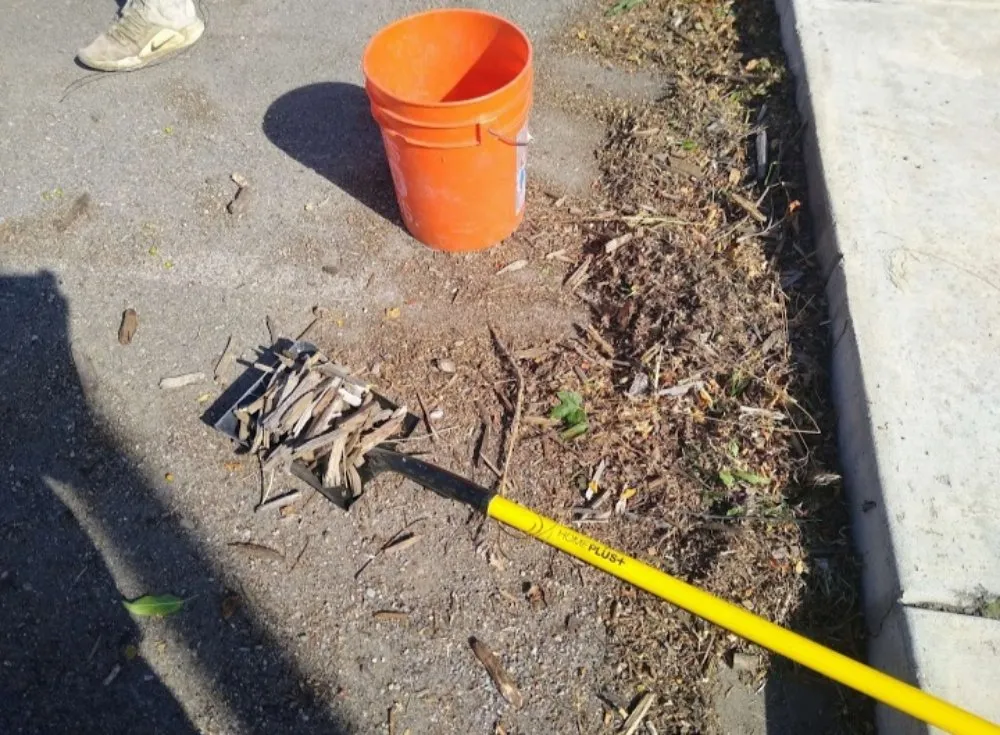 Affordable yard cleanup service experts serving Missoula, MT - Lawn & Labor