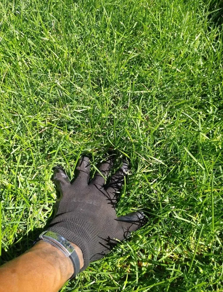 Top-rated yard maintenance in Missoula, MT by Lawn & Labor