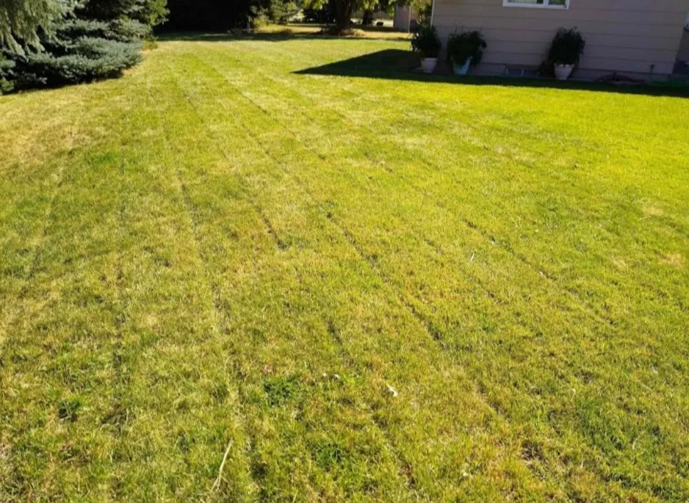 Affordable landscape design with custom design in Missoula, MT by Lawn & Labor