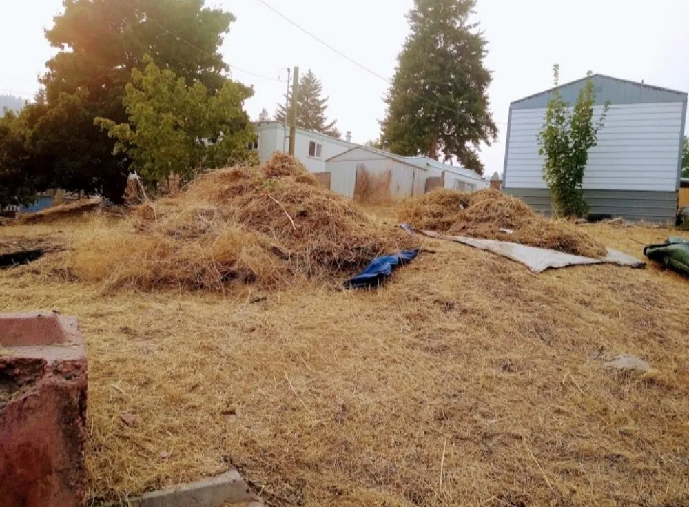 Reliable lawn mowing service for beautiful yards across Missoula, MT - Lawn & Labor