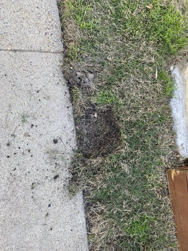 Top-rated outdoor landscaping near you across Lewisville, TX - Lawn & Landcare