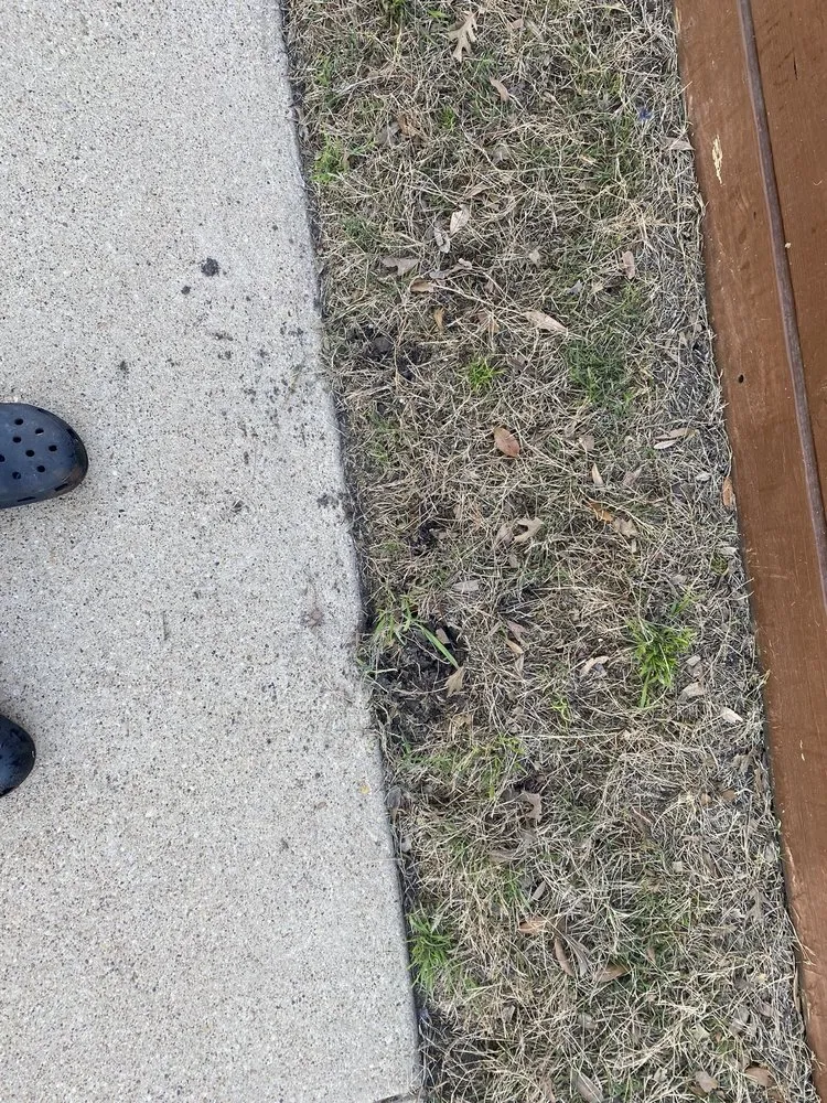 Professional yard maintenance with custom design in Lewisville, TX by Lawn & Landcare