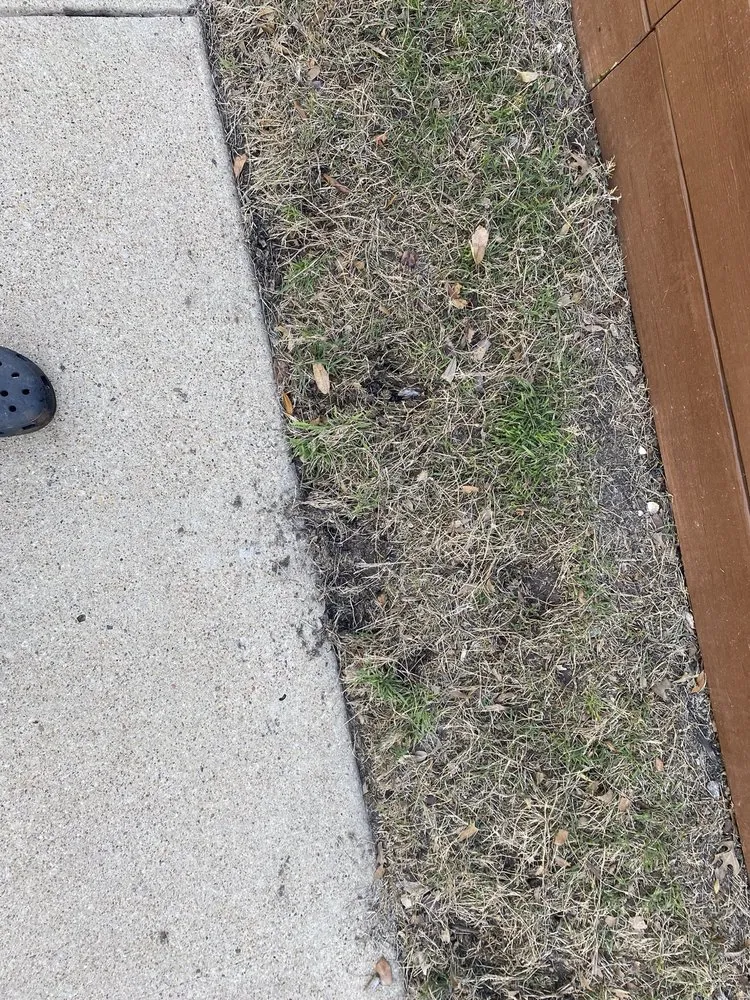 Expert landscape design experts serving Lewisville, TX - Lawn & Landcare