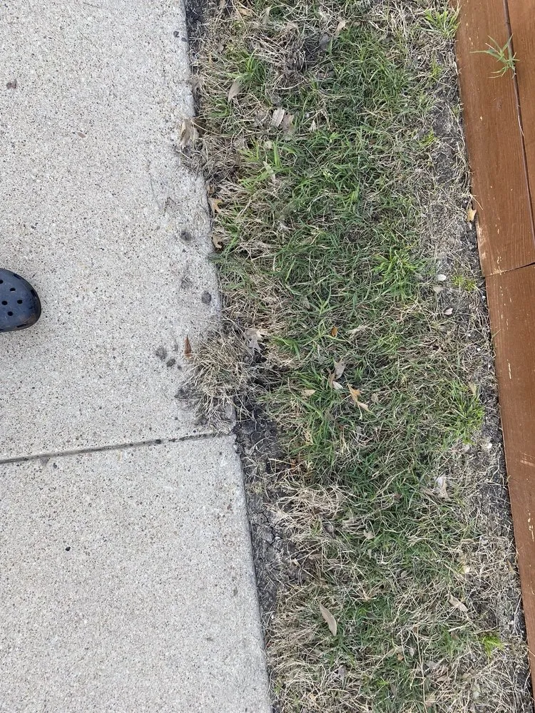 Affordable lawn mowing service for homes in Lewisville, TX by Lawn & Landcare