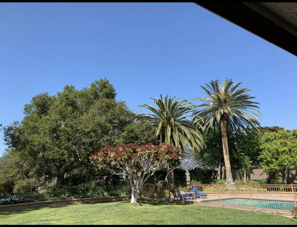 Expert yard maintenance with custom design across Goleta, CA - Lawn & Landscape