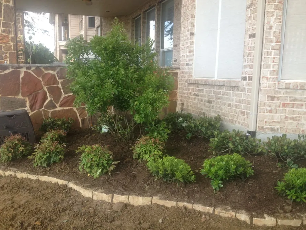 Affordable landscaping services experts serving Rowlett, TX - Lawn & Landscape Management