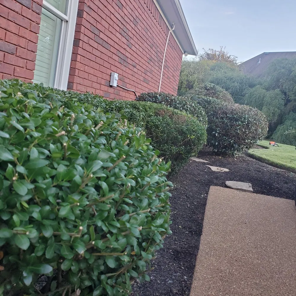 Affordable garden landscaping experts serving Jackson, TN - Lawn & Leaf Solutions