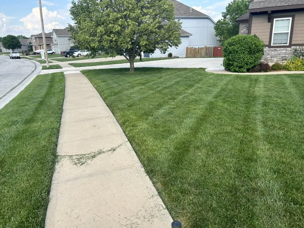 Expert landscape design for year-round maintenance across Lee's Summit, MO - Lawn & Load Experts