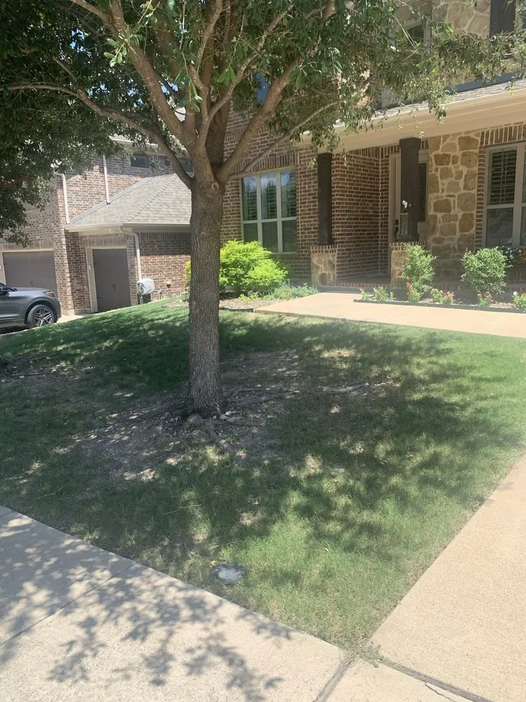 Reliable residential landscaping for beautiful yards across Saginaw, TX - Lawn & Loaded